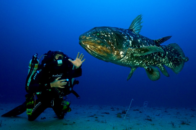 真夏三大潛水錶神器