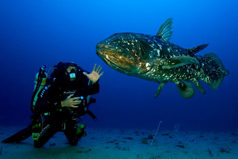 真夏三大潛水錶神器
