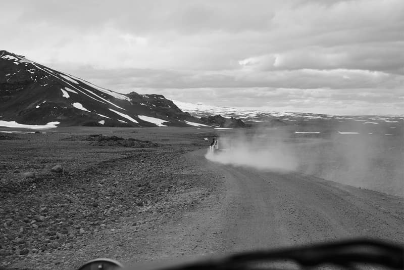 Filling Pieces Looks to the Natural World for its New "Independence" Campaign