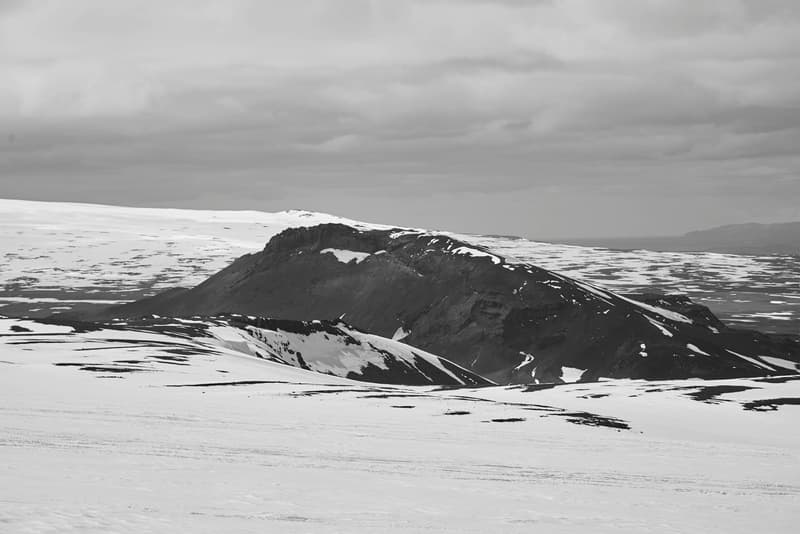 Filling Pieces Looks to the Natural World for its New "Independence" Campaign
