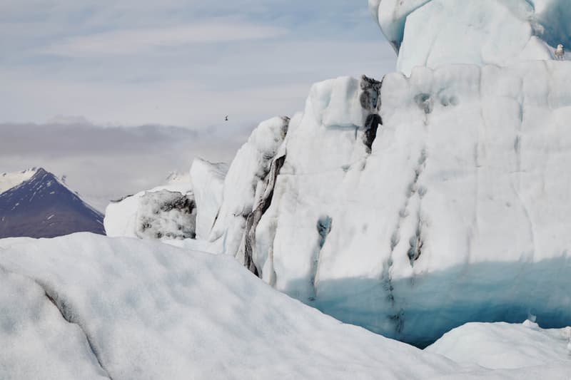 Filling Pieces Looks to the Natural World for its New "Independence" Campaign