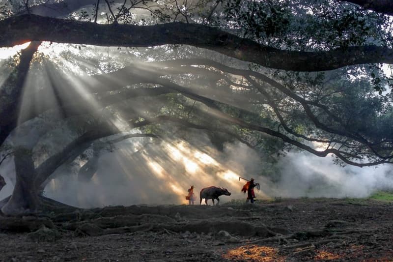 2016 iPhone Photography Award Winners