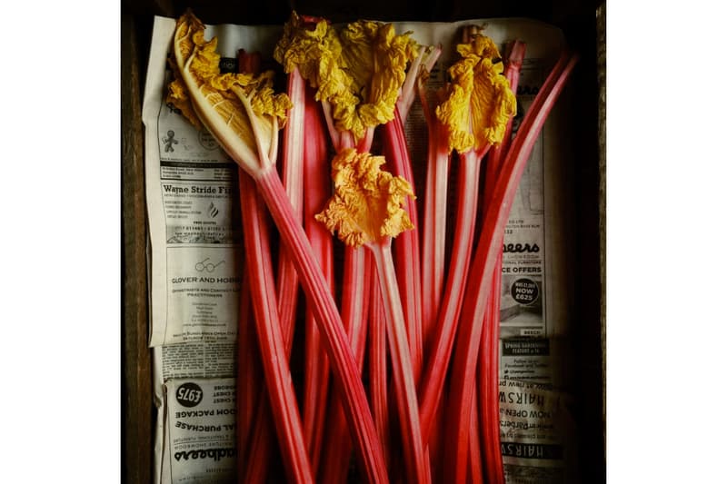 2016 iPhone Photography Award Winners