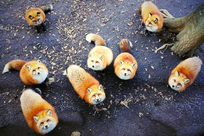 2016 iPhone Photography Award Winners