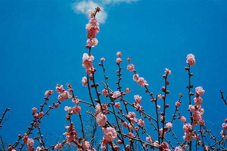 KENZO 力邀日本知名攝影師 Hiromix 掌鏡《Endless Day in Tokyo》造型特輯