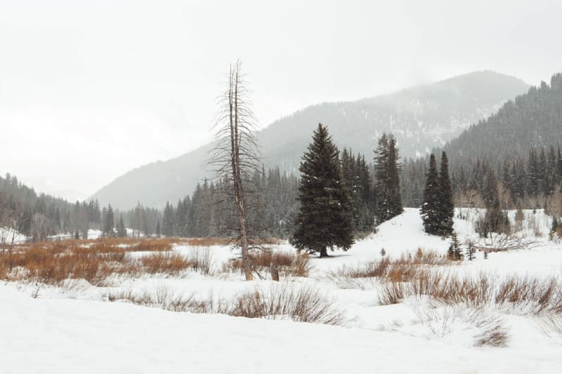 禦寒層次－Snow Peak 2016 秋冬系列 Lookbook