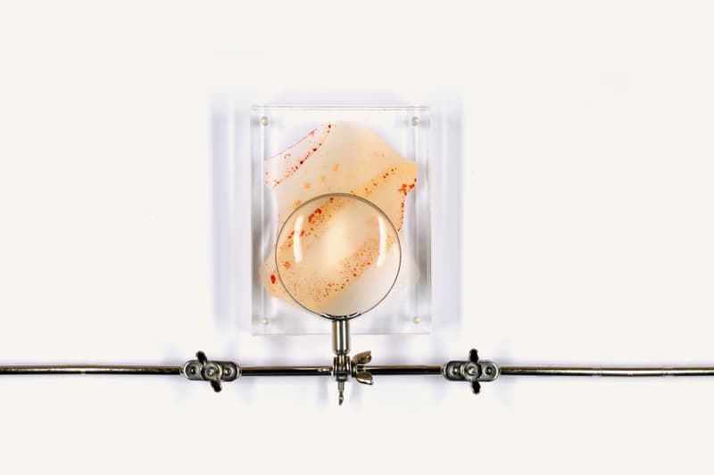 業界爭議－保護動物組織 PETA 贊成以 Alexander McQueen DNA 製作人皮服飾