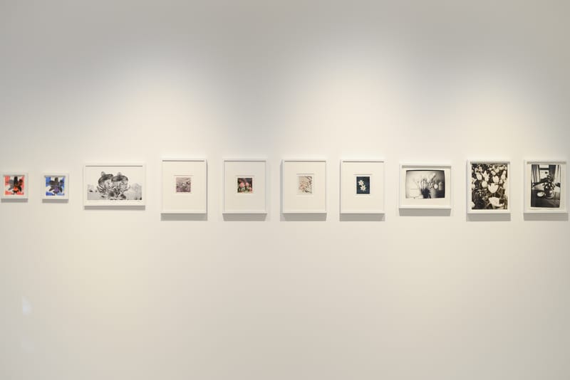 化身大學講師的藤原浩，與學生聯手打造最時尚的花卉藝術展覽