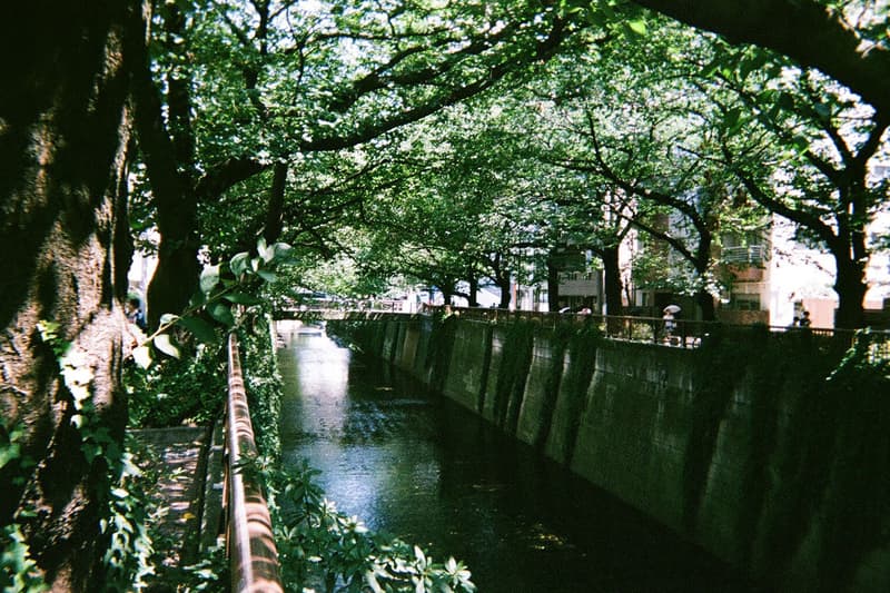 Life With nonnative－東京隨行札記