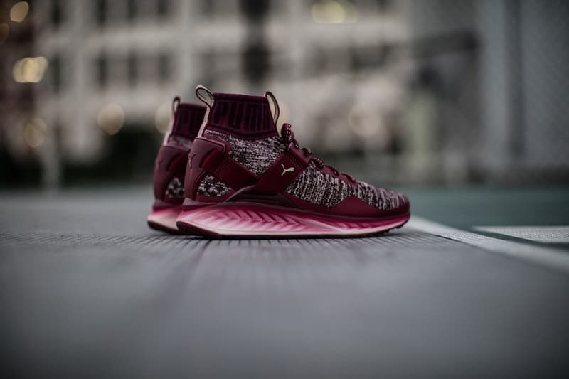 率先預覽 Puma Ignite EvoKNIT 2017 年新作