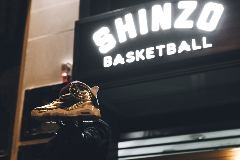 Air Jordan 6「Pinnacle」