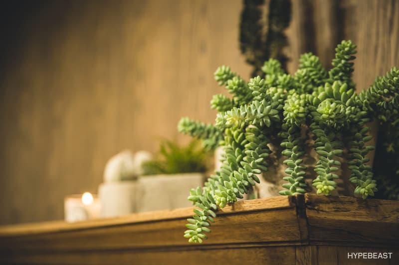 madness beijing store