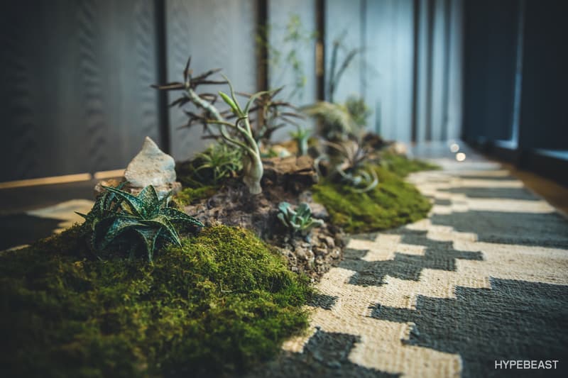 madness beijing store