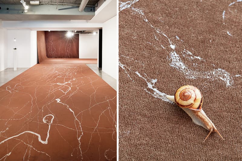 用球鞋作盆景、以蝸牛作畫？！走進 Michel Blazy 東京藝術展《Living Room II》