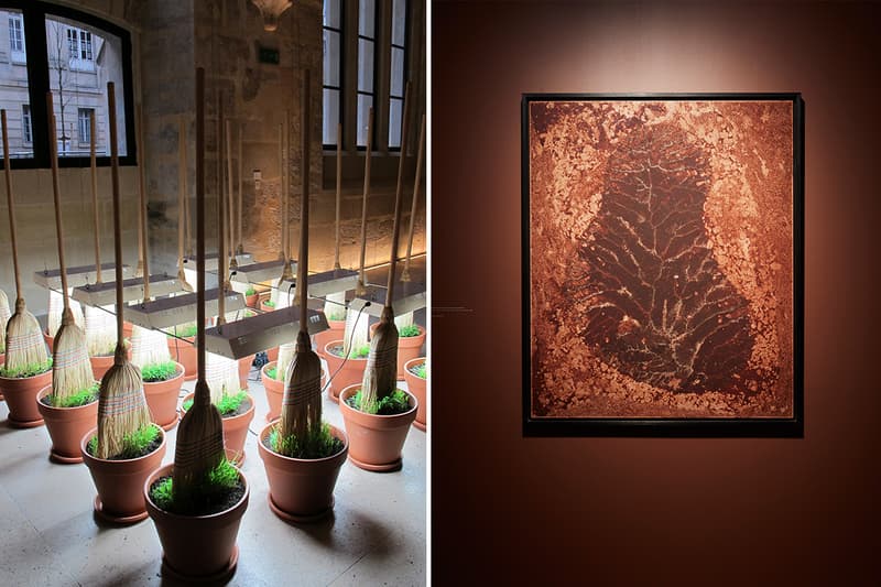 用球鞋作盆景、以蝸牛作畫？！走進 Michel Blazy 東京藝術展《Living Room II》