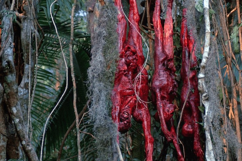 科幻經典《鐵血戰士》全新續作－ 導演：R-Rated 是必需的