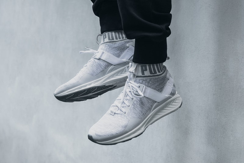 PUMA IGNITE evoKNIT
