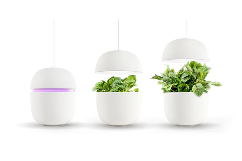 芬蘭品牌 Plantui 智能植物園