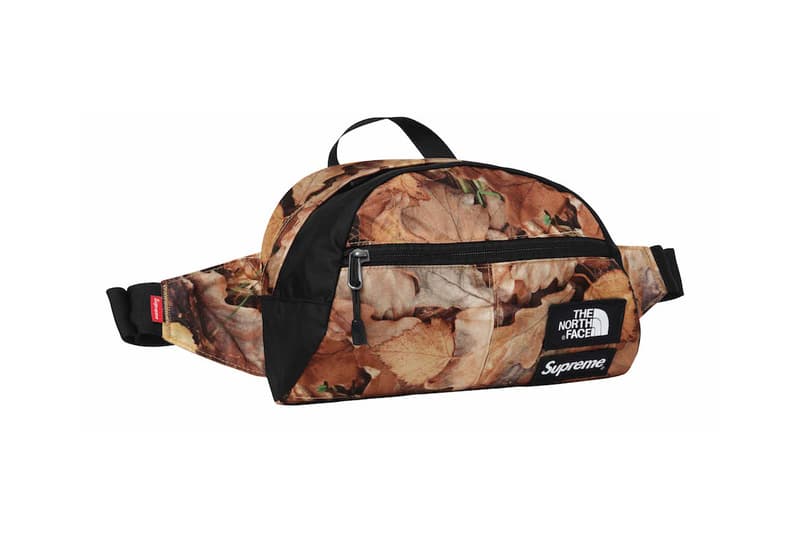 Supreme x The North Face 2016 Fall/Winter Collection