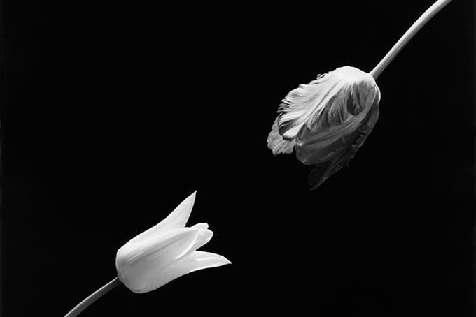 大師過招！「KYOTOGRAPHIE 京都國際寫真祭 2017」開催