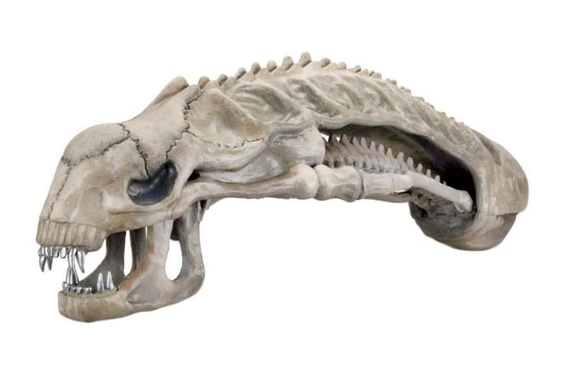 Alien 迷的終極擺設－雕塑級 Xenomorph 異形頭骨