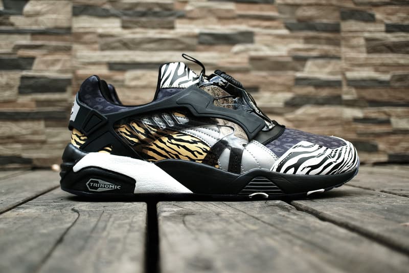 聖誕月福利－PHANTACi x PUMA Disc Blaze「萬獸之王」等你拿！