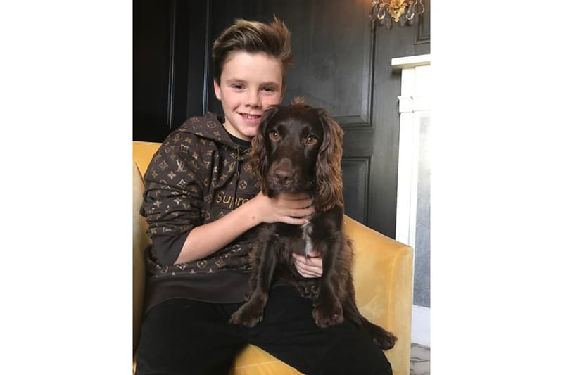 Cruz Beckham Louis Vuittion Supreme Hoodie
