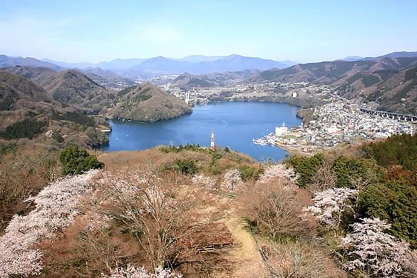 亞洲初上陸！全新遊樂設施「MUSCLE MONSTER」登陸神奈川县相模湖