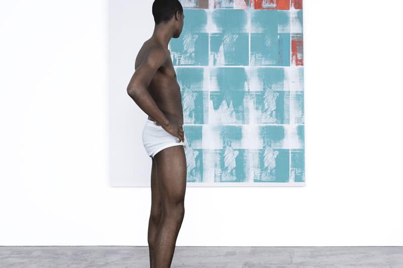 Raf Simons Calvin Klein "American Classics" 2017 Campaign