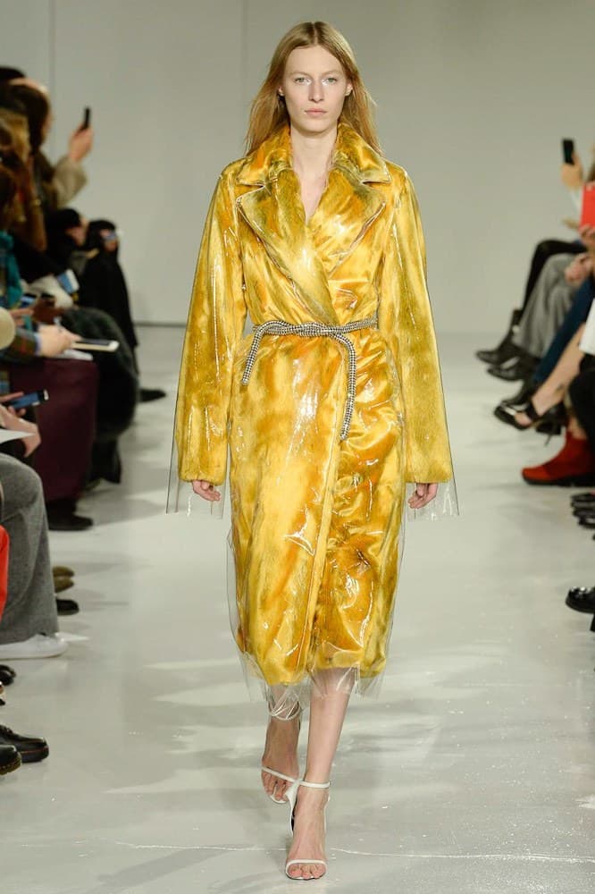 Calvin Klein 2017 Fall/Winter Collection Raf Simons