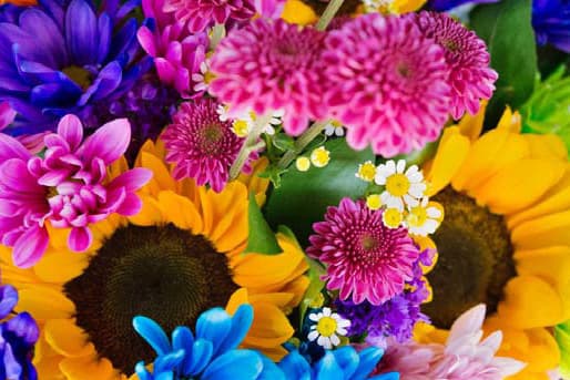 蜷川實花最新個展「earthly flowers, heavenly colors」東京開催