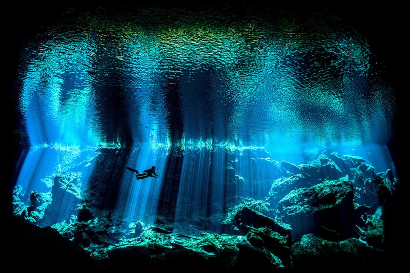 2017 年度「Underwater Photographer of the Year」水底攝影獲獎作品公佈