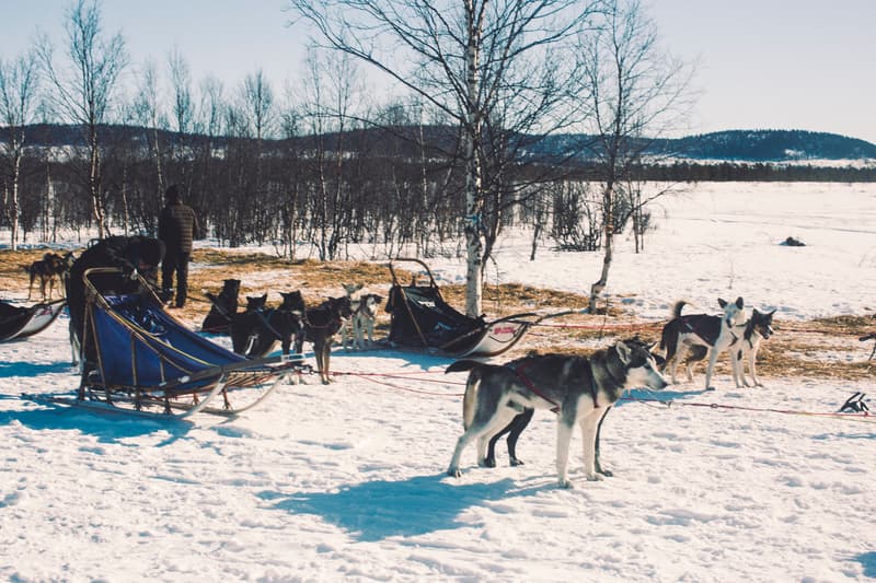 Fjällräven Polar 2017 大型極地長征活動回顧