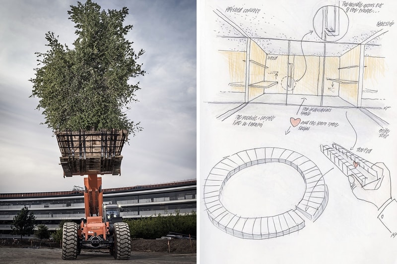 Tim Cook 與 Jony Ive 提前揭秘新總部 Apple Park 內部設計