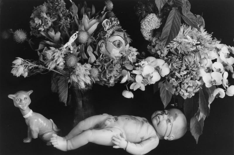 荒木經惟將於香港舉辦歷來最大型攝影作品展