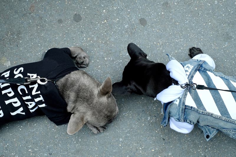 為愛犬換上街頭裝備－Pawkier 寵物街服期間限定店開催