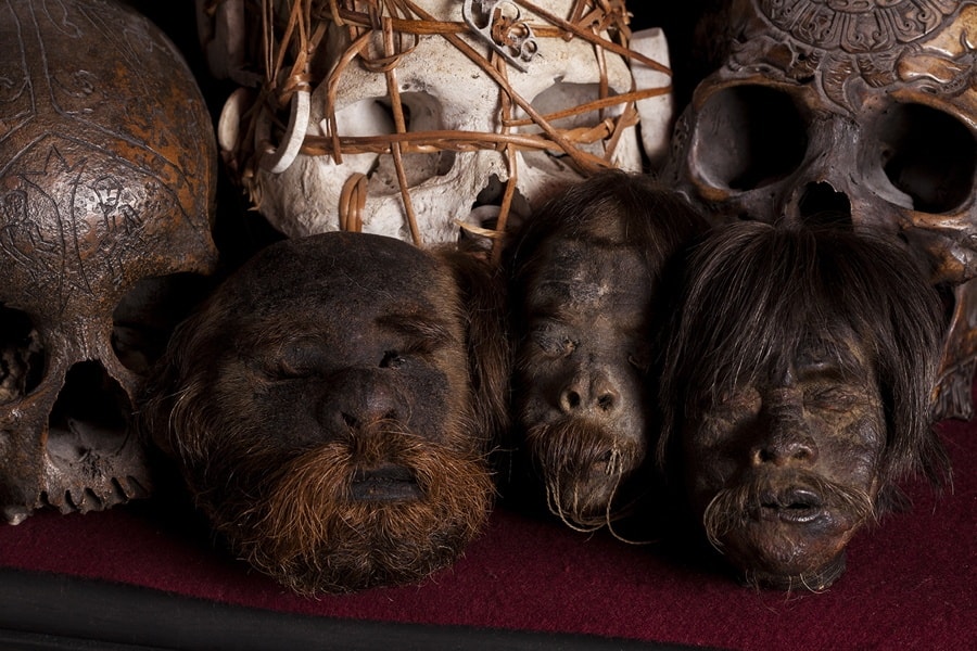 International Museum Day special, see these weird museums in the world