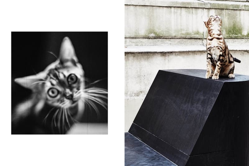 HBX 打造 Rick Owens 支線 DRKSHDW 2017 秋冬「Glitter」系列造型特輯