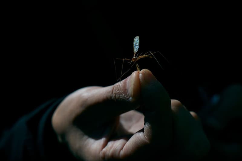 中村世紀之釣魚哲學－認識日本和式毛鉤飛釣傳統 Tenkara