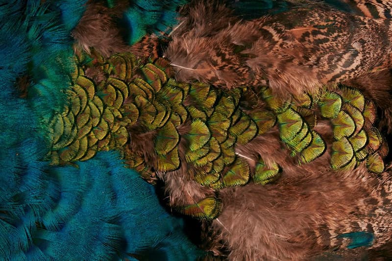 中村世紀之釣魚哲學－認識日本和式毛鉤飛釣傳統 Tenkara