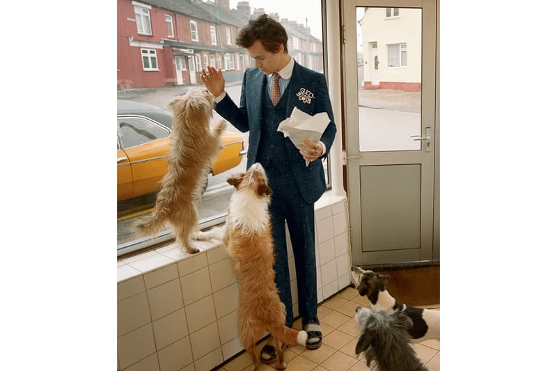 Harry Styles 演繹 Gucci 正裝系列宣傳廣告