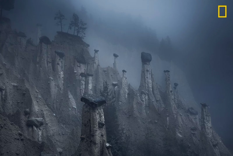 《National Geographic》發佈 2018 年度最佳攝影作品