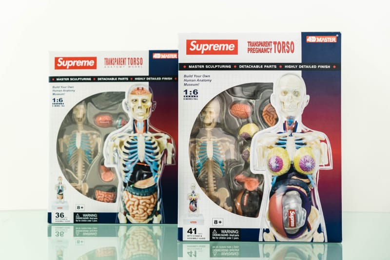 蜚聲國際！Supreme 本季人體解剖模型單品大有來頭？