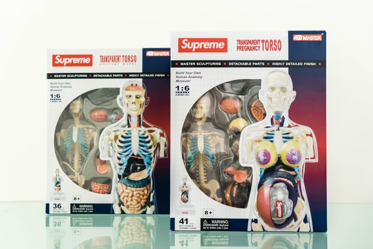 蜚聲國際!Supreme 本季人體解剖模型單品大有來頭?
