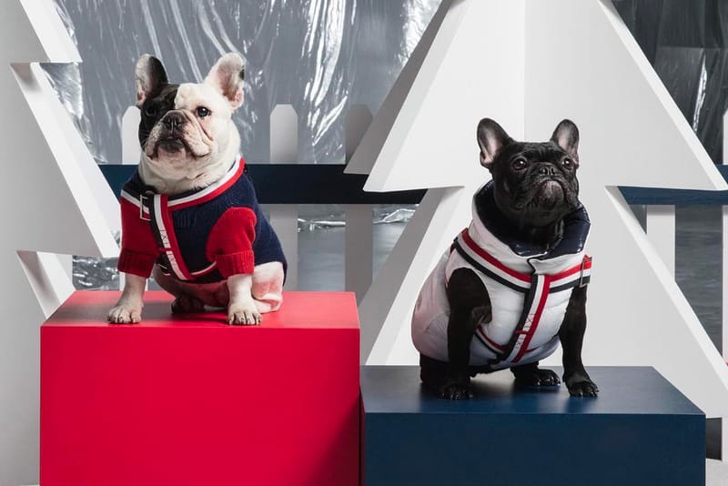 Moncler 與 Poldo Dog Couture 為寵物狗推出奢華羽絨外套