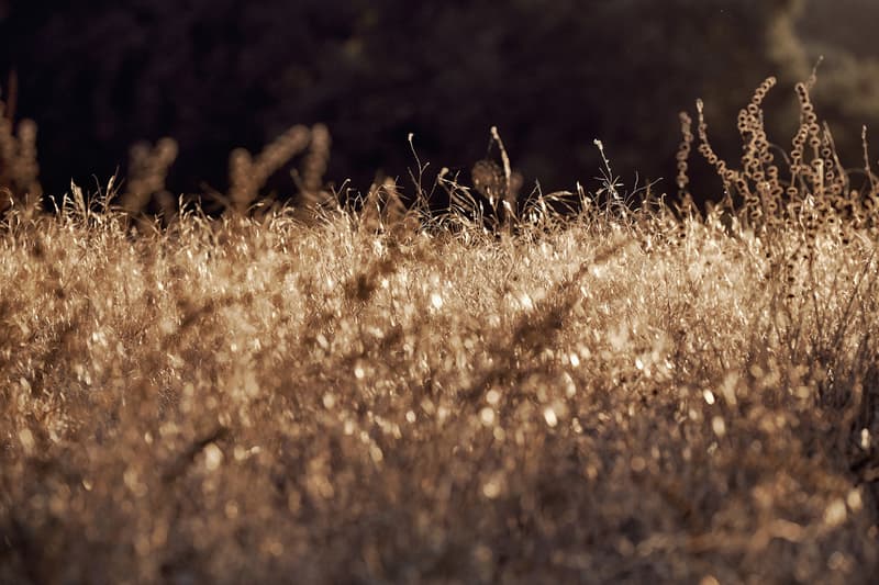 HYPEBEAST 專訪 Jerry Lorenzo: 我渴望重新喚醒 Nike Basketball「過去的靈魂」