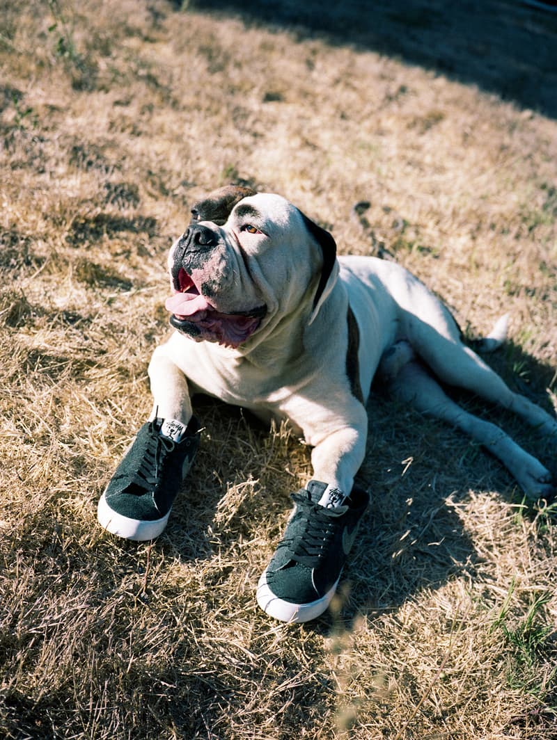 Stüssy x Nike SB Blazer 聯名系列正式發佈