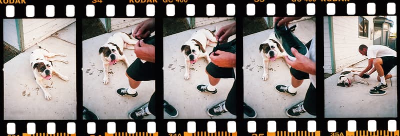 Stüssy x Nike SB Blazer 聯名系列正式發佈