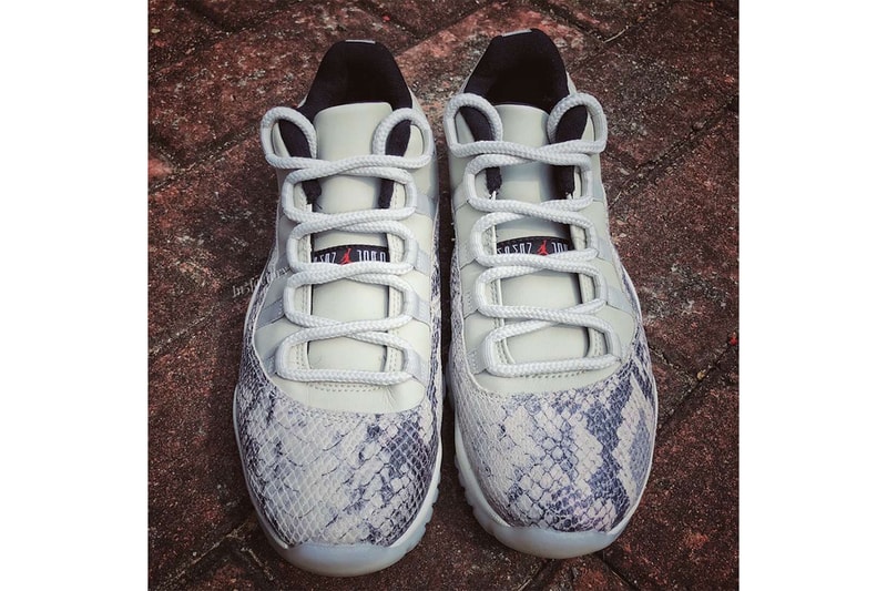 近賞 Air Jordan 11 Low SE 全新「Snakeskin」蛇紋設計