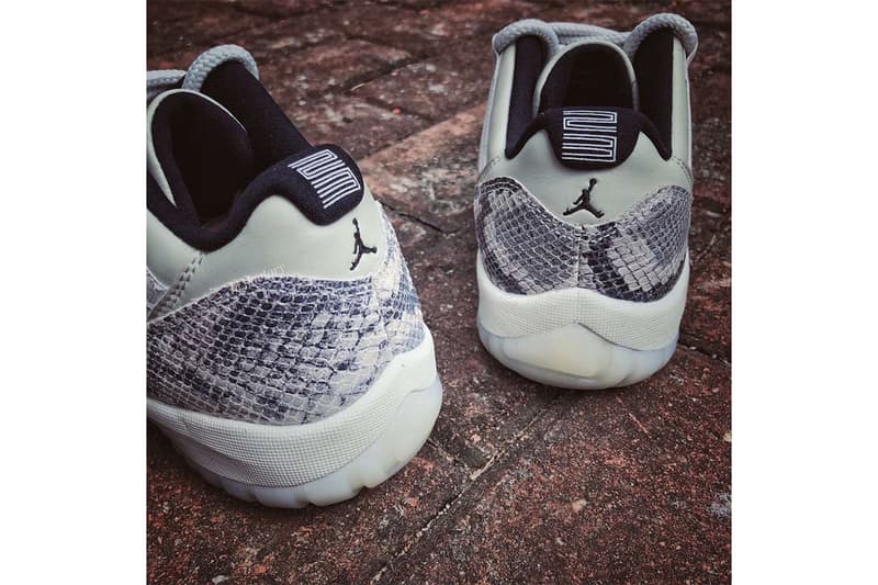 近賞 Air Jordan 11 Low SE 全新「Snakeskin」蛇紋設計